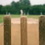 Cricket Wickets – Delhi Picture